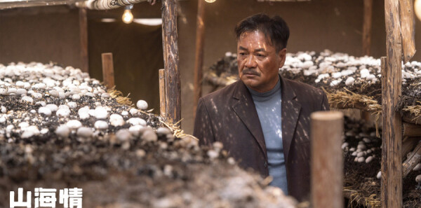 山海情第12集剧照
