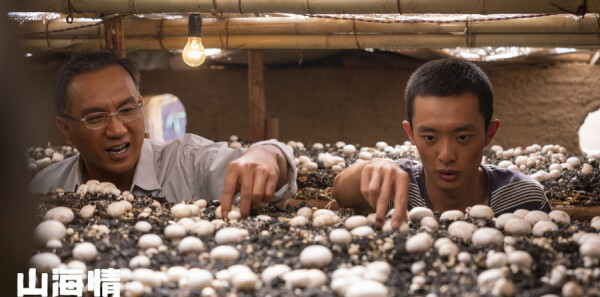 山海情第10集剧照