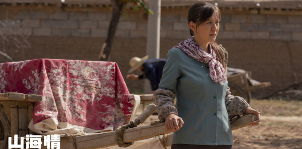 山海情第12集剧照